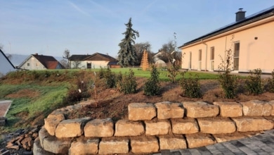 mainHAUS - Bungalow mit Garage in Rothhausen - Außenanlage