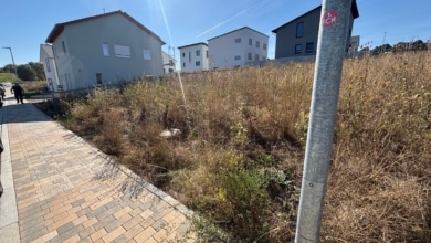 mainHAUS - Stadtvilla (HWF & SF) in Rimpar - Grundstück